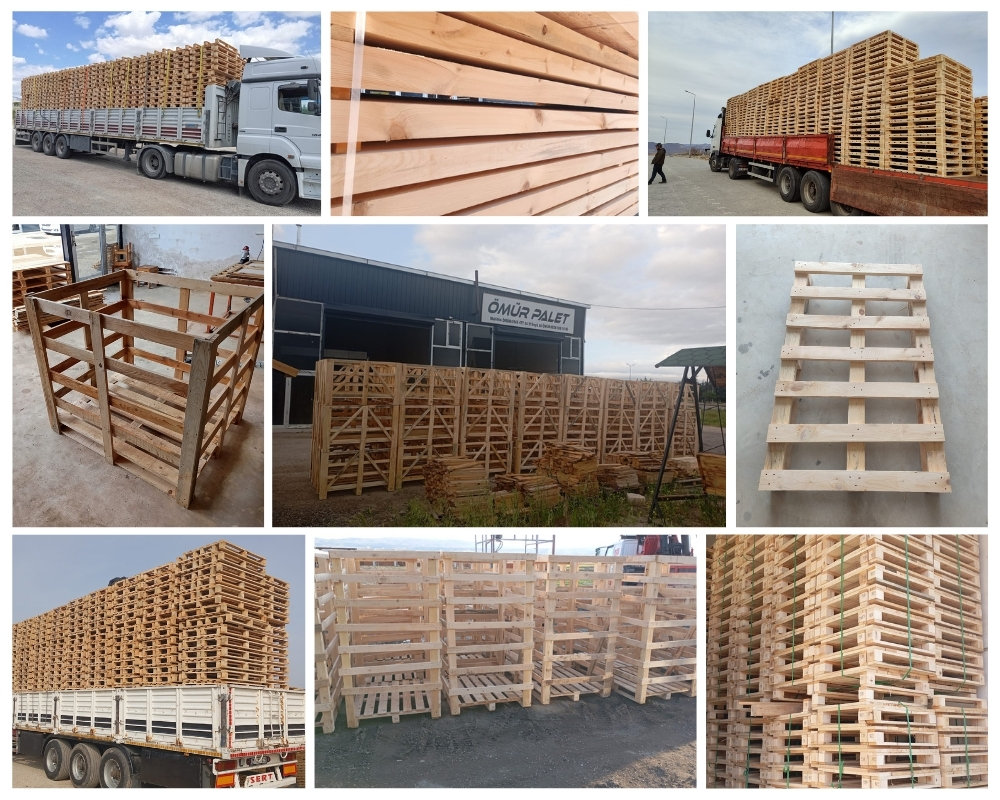 Bougival Palette Europe, Acheter des palettes en gros